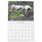 2013 White Boxer Calendar Kalender (Mar 2026)