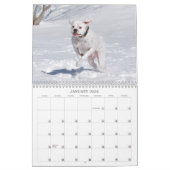 2013 White Boxer Calendar Kalender (Jan 2026)