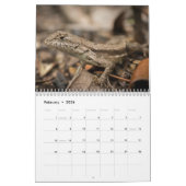 2013 WILDLIFE-KALENDERS PER MEREN | FOTO'S KALENDER (Feb 2026)