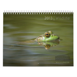 2013 WILDLIFE-KALENDERS PER MEREN FOTO'S KALENDER