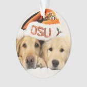 2014-15 ParkerPup & Reser Ornament (voorkant)