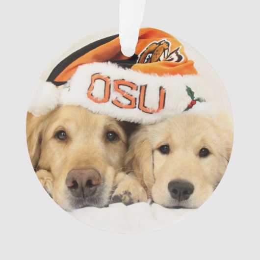2014-15 ParkerPup & Reser Ornament (voorkant)