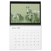 2014 Arabieren - Joy of life Kalender (Jan 2027)