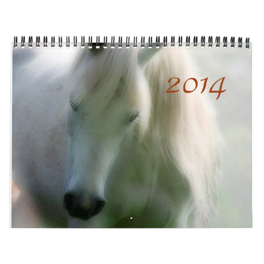 2014 Arabieren - Joy of life Kalender (Hoes)