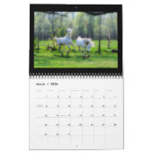 2014 Arabieren - Joy of life Kalender (Mar 2026)