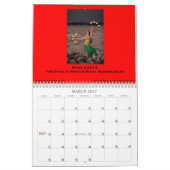 2014 Belly Dance Photo Calendar Kalender (Mar 2027)