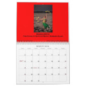 2014 Belly Dance Photo Calendar Kalender (Mar 2026)