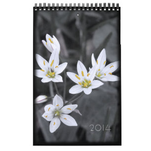 2014 Bloemenkalender 12 enkele pagina maanden Kalender