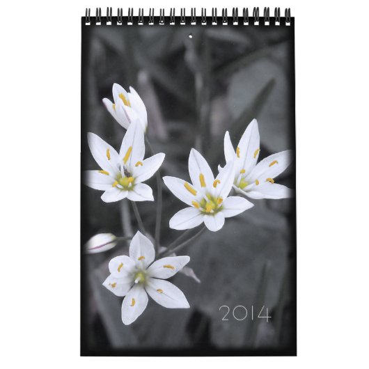 2014 Bloemenkalender 12 enkele pagina maanden Kalender (Hoes)