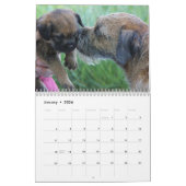 2014 Border Terrier Calendar Kalender (Jan 2026)