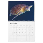 2014 Coral Zee Calendar Kalender (Feb 2026)