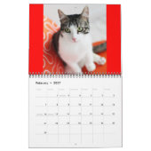 2014 Corky The Cradle Cat Calendar Kalender (Feb 2027)
