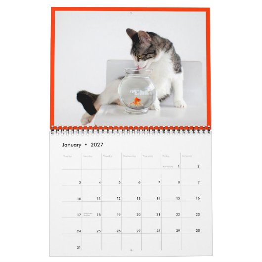 2014 Corky The Cradle Cat Calendar Kalender (Jan 2027)