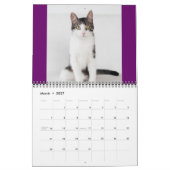 2014 Corky The Cradle Cat Calendar Kalender (Mar 2027)