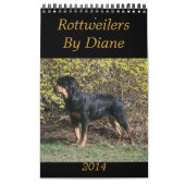 2014 draaimolens via agenda voor kranen kalender (Hoes)