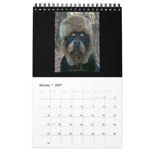 2014 draaimolens via agenda voor kranen kalender (Jan 2027)
