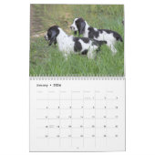2014 Engelse Springer Spaniel Pups Kalender (Jan 2026)