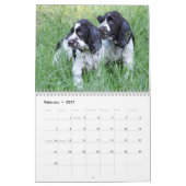 2014 Engelse Springer Spaniel Pups Kalender (Feb 2027)