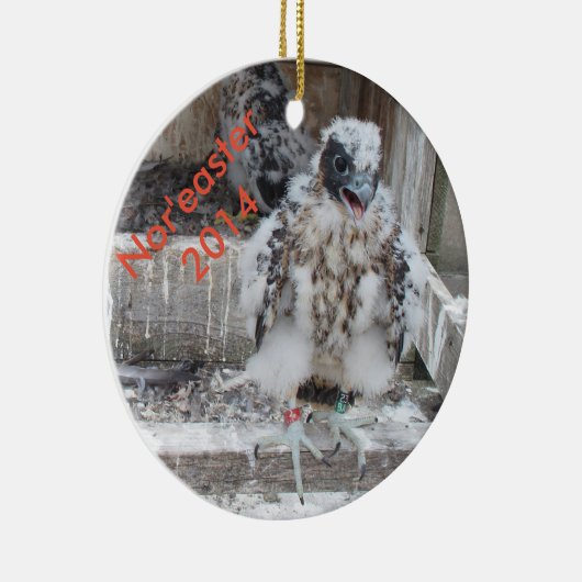 2014 Evenmin als "easter Ornament" Keramisch Ornament (Rechts)