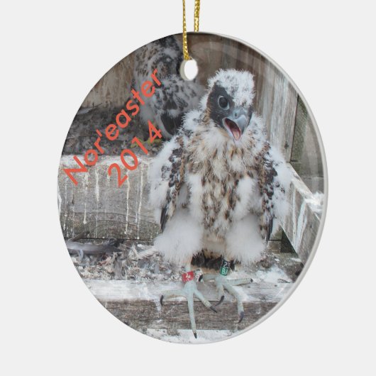 2014 Evenmin als "easter Ornament" Keramisch Ornament (Links)