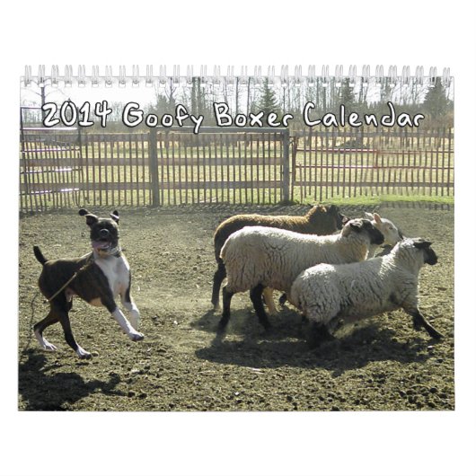 2014 Goofy Boxers Calendar Kalender (Hoes)