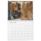 2014 Goofy Boxers Calendar Kalender (Jan 2027)