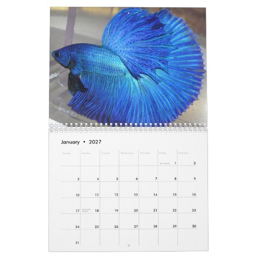 2014 Halfmoon Betta viskalender Kalender (Jan 2027)