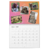 2014 Joyful Pets Calendar Kalender (Mar 2027)