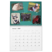 2014 Joyful Pets Calendar Kalender (Jan 2027)