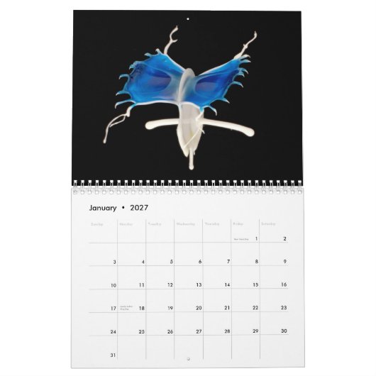 2014 Liquid-in-Motion-agenda Kalender (Jan 2027)