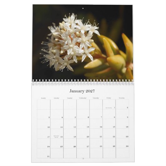 2014 Little Critters Calendar (Medium) Kalender (Jan 2027)