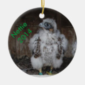 2014 Nettie Ornament (Voorkant)