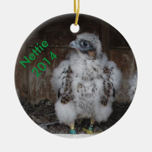 2014 Nettie Ornament (Voorkant)