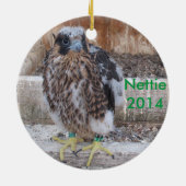 2014 Nettie Ornament (Achterkant)