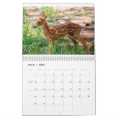 2014 Ongelooflijk creatieve kalender (Mar 2026)