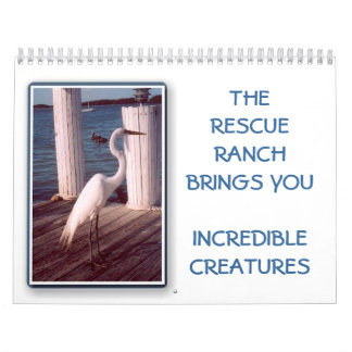 2014 Ongelooflijk creatieve kalender