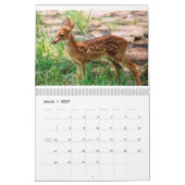2014 Ongelooflijk creatieve kalender (Mar 2027)