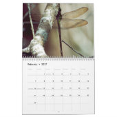 2014 Ongelooflijk creatieve kalender (Feb 2027)