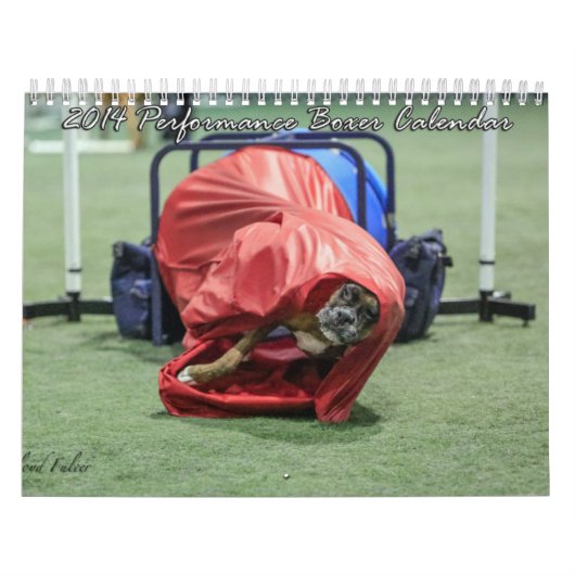 2014 Performance Boxer Calendar Kalender (Hoes)