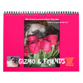 2014 POG RESCUE CALENDAR KALENDER (Hoes)