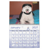 2014 Portugese Dog Kalender (Jan 2027)