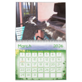 2014 Portugese Dog Kalender (Mar 2026)