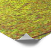 2014 Red Corvette Stingray Poster (50 x 40 inch) (Hoek)