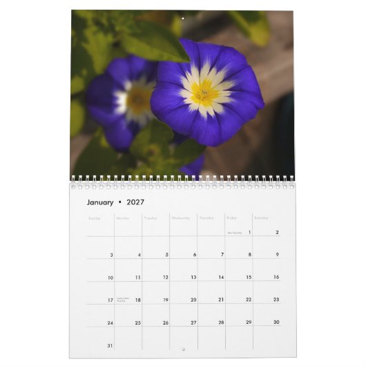 2014 Regenboog van bloemen Kalender (Jan 2027)