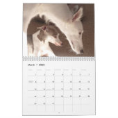 2014 Silken Windhounds and Friends 1-2 Kalender (Mar 2026)