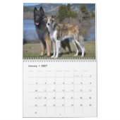 2014 Silken Windhounds and Friends 1-2 Kalender (Jan 2027)