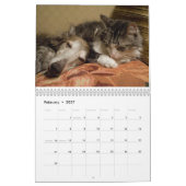 2014 Silken Windhounds and Friends 1-2 Kalender (Feb 2027)