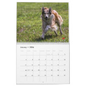2014 Silken Windhounds in actie 1-6 Kalender (Jan 2026)