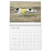 2014 Silken Windhounds in actie 1-6 Kalender (Mar 2027)