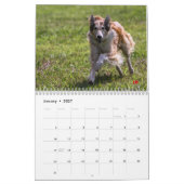 2014 Silken Windhounds in actie 1-6 Kalender (Jan 2027)
